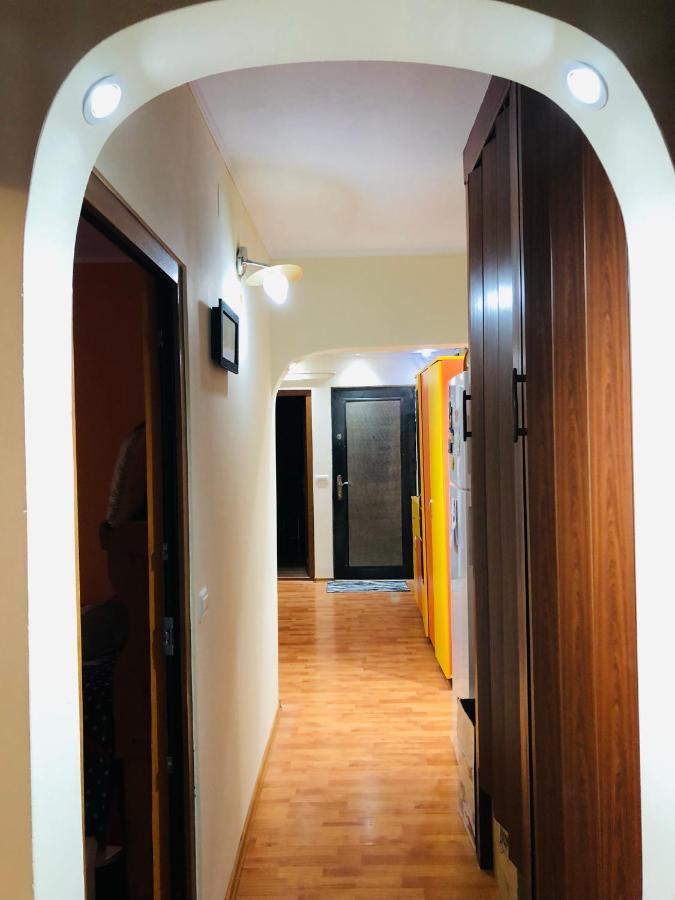 3-Room Delta Modern Residence Tulcea Buitenkant foto